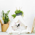 Pet Teepee Dog Bed