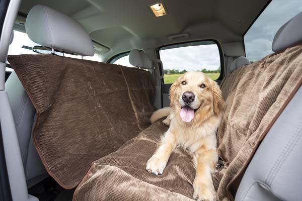 Heavy Duty Reversible Car Hammock