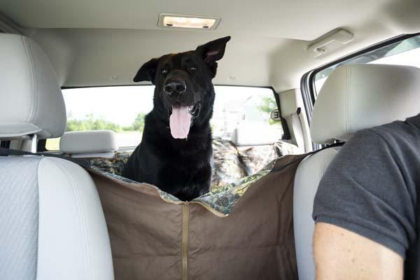 Heavy Duty Reversible Car Hammock