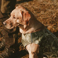 Hurtta Hunting and Swimmer Dog Vest