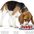 Personalized Stainless Steel Dog Bowl - 32 Oz