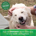 GREENIES Petite Natural Dental Dog Treats