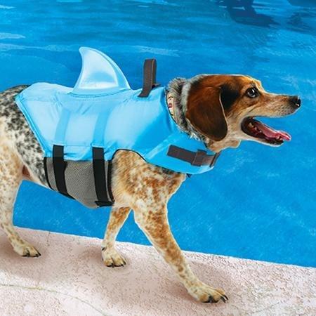 Dog Life Vest With Fin