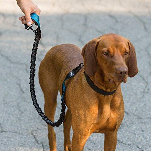 Hands Free Dog Leash for Medium and Large Dogs