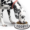 Personalized Stainless Steel Dog Bowl - 32 Oz