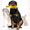 Liquor Bottle Jose Perro Squeaker Toy