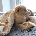 Premium Fluffy Fleece Dog Blanket