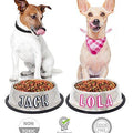 Personalized Stainless Steel Dog Bowl - 32 Oz