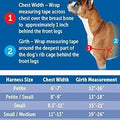 Easy Walk Harness