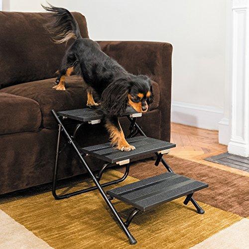 AKC Convertible Pet Steps & Ramp