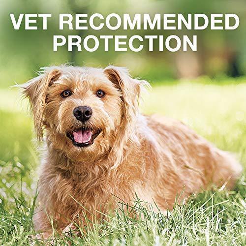 Bayer K9 Advantix II Flea, Tick and Mosquito Prevention