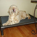 Kuranda Chewproof Dog Bed