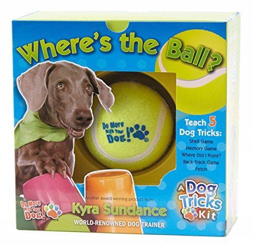Where's the Ball? A Dog Tricks Kit