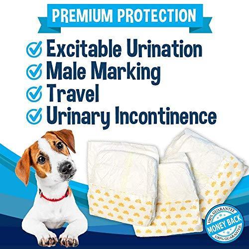 Premium Disposable Dog Male Wraps, 20 pack
