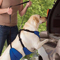 Lift & Lead 4-In-1 Dog Harness