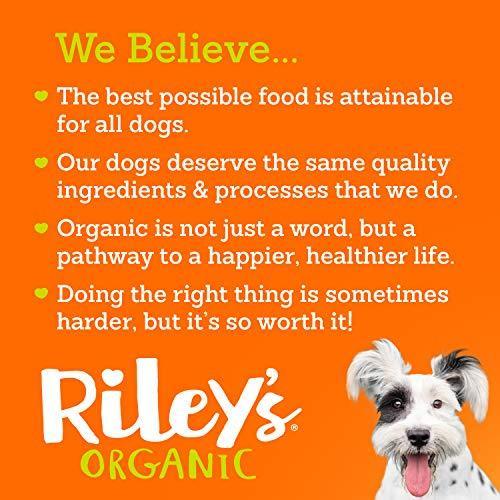 Organic Apple Dog Treats