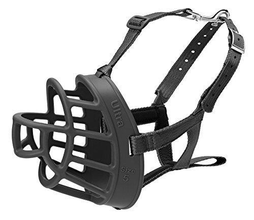 Basket Dog Muzzle