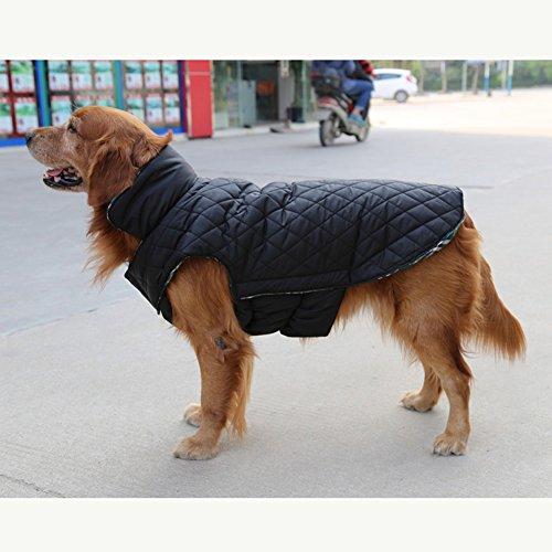 Reversible Plaid Dog Vest