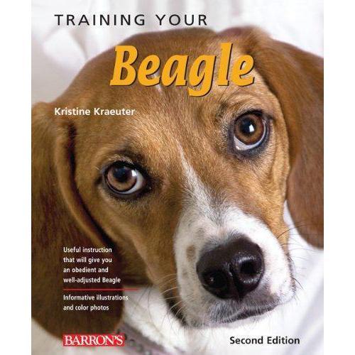 Training Your Beagle