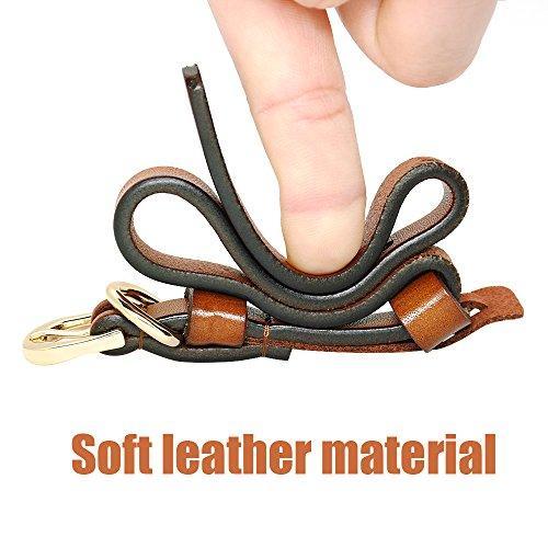 Luxury Genuine Leather Dog Collar and Leash Set
