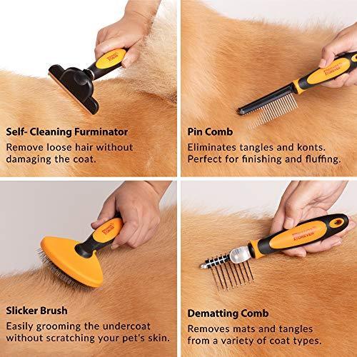 6 in 1 Professional Pet Grooming Kit