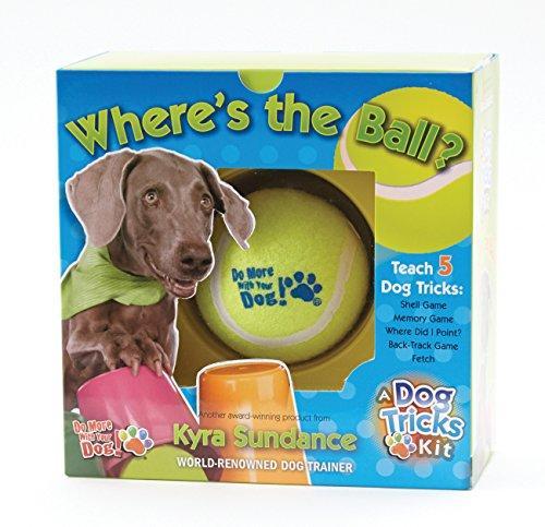 Where's the Ball? A Dog Tricks Kit