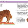 The Pocket Guide to Dog Tricks
