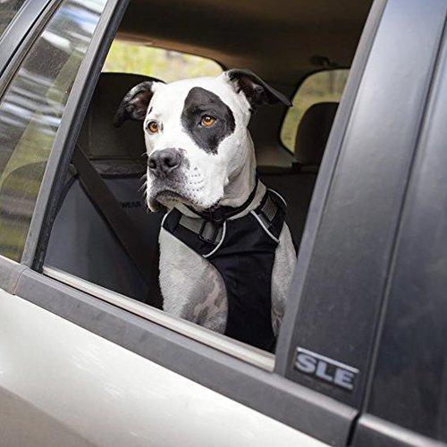 Ruffwear - Load Up Vehicle Restraint Harness