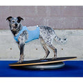 FitPAWS 20 in. Canine Wobble Board