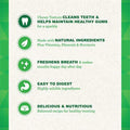 GREENIES Petite Natural Dental Dog Treats