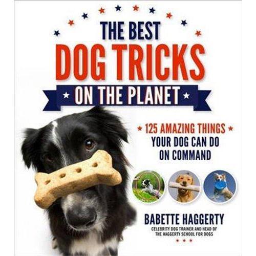 The Best Dog Tricks on the Planet