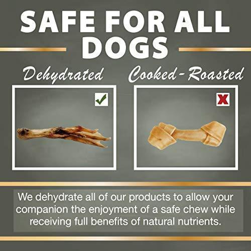 Dehydrated Duck Feet All Natural Dog Treats