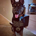 Paw Wars Dog Bandana