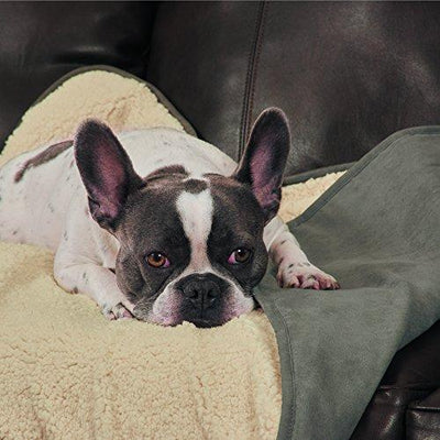 ThermaPet Slumber Pet Burrow Blanket