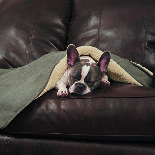 ThermaPet Slumber Pet Burrow Blanket