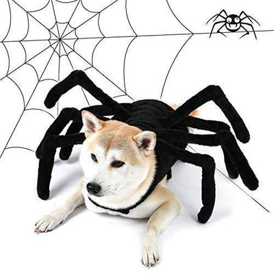 Spider Dog Costume