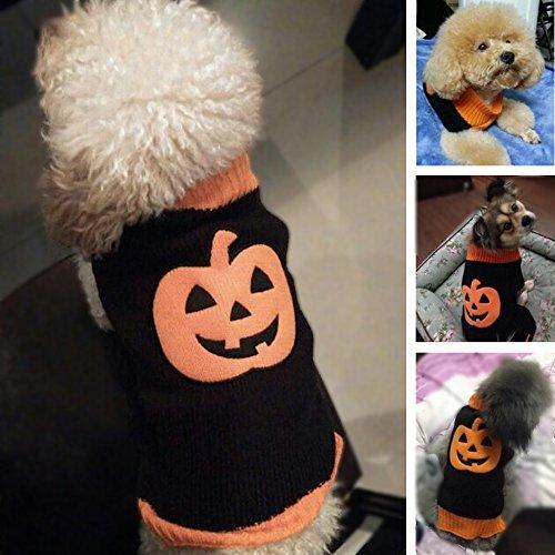 Halloween Pumpkin Dog Sweater