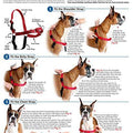 Easy Walk Harness