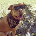 Paw Wars Dog Bandana