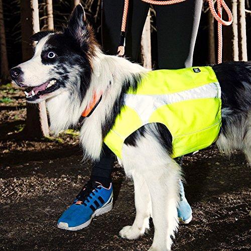 Hurtta Polar Visibility Dog Vest