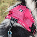 Hurtta Active Dog Harness