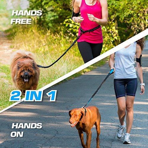 Hands Free Dog Leash for Medium and Large Dogs