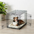 Double-Door Folding Metal Dog Crate