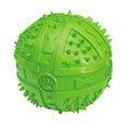 Chew & Squeak Rubber Dog Ball