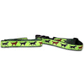 Flat Coated Retriever Collar and Leash Set