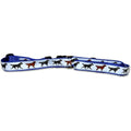 Flat Coated Retriever Collar and Leash Set