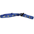 Golden Retriever Collar and Leash Set