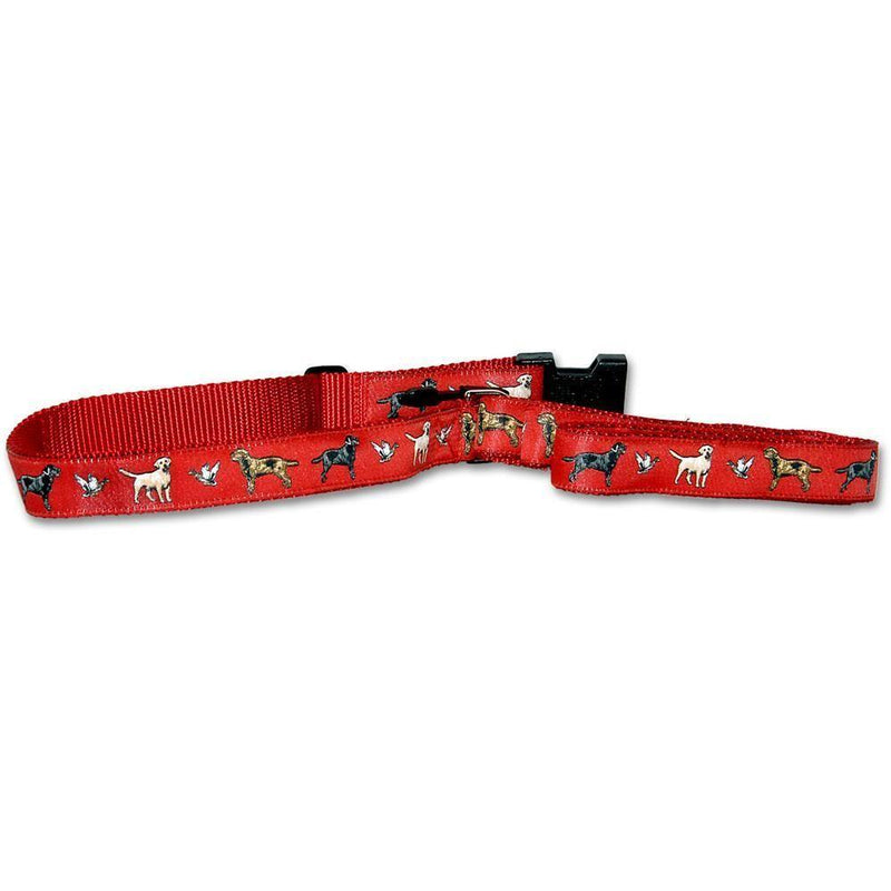 Labrador Retriever Collar and Leash Set