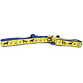 Labrador Retriever Collar and Leash Set