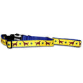 Irish Setter Collar and Leash Set